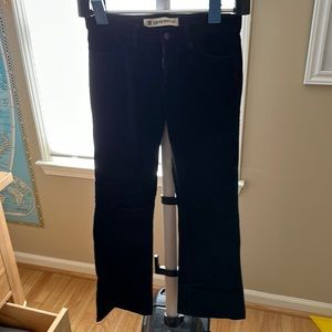 Black Velvet Low Rise Boot Cut Pant